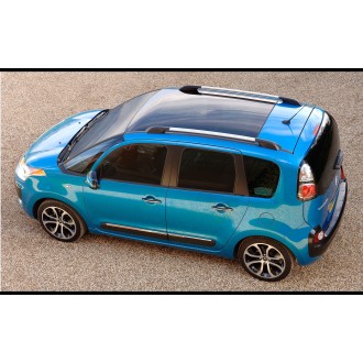 Citroen C3 Picasso railing 2009 Bare ECOBRIDGE 124CM - 10033